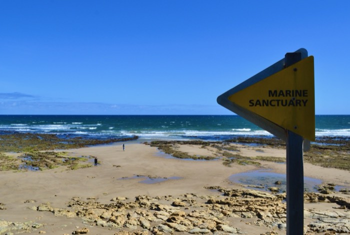 A beach, Geelong. 2018